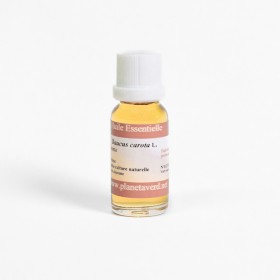 Aceite esencial de semilla de Zanahoria